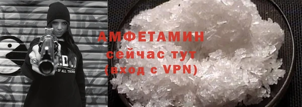 сатива Бабаево
