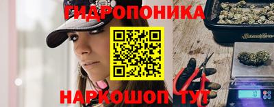 сатива Берёзовский