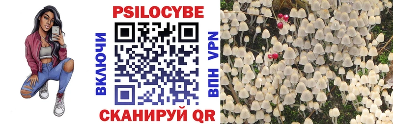 Псилоцибиновые грибы мухоморы Ишим