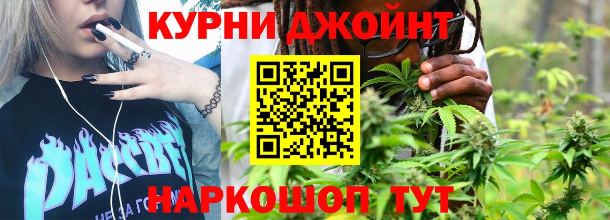 Каннабис OG Kush Ишим